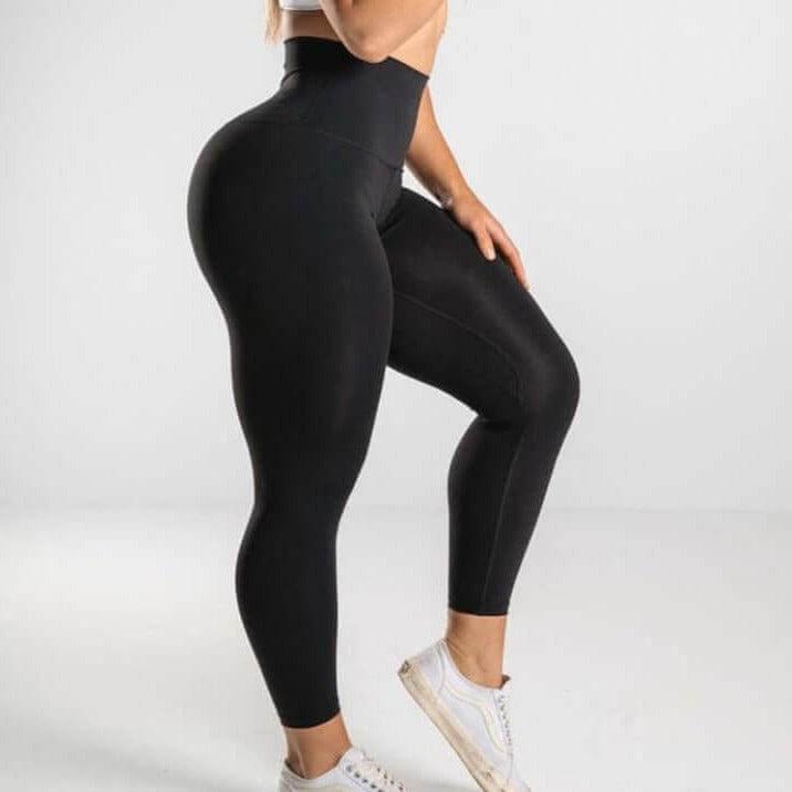 Pop Fit Leggings Alternative - No Membership