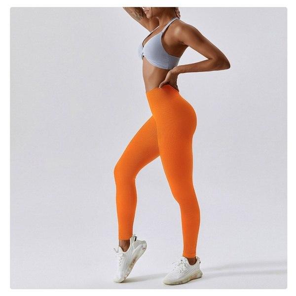 Scrunch Seamless Ribbed Contour Leggings 2.0 - 9 Colorways