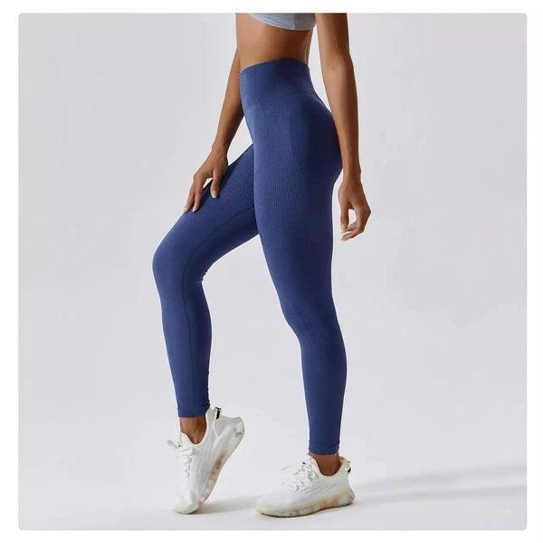 Scrunch Seamless Ribbed Contour Leggings 2.0 - 9 Colorways