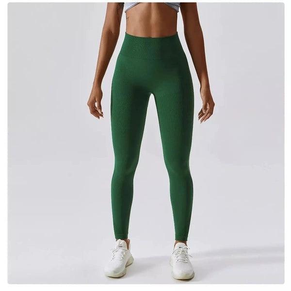 Scrunch Seamless Ribbed Contour Leggings 2.0 - 9 Colorways