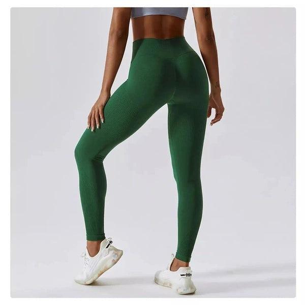 Scrunch Seamless Ribbed Contour Leggings 2.0 - 9 Colorways