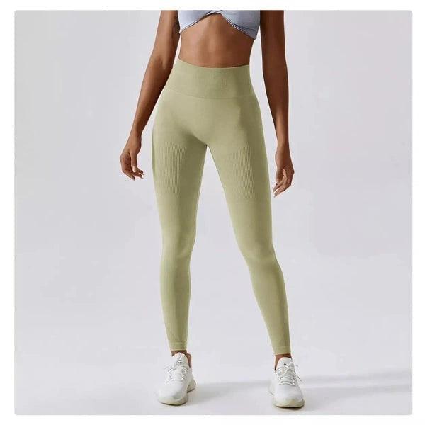 Scrunch Seamless Ribbed Contour Leggings 2.0 - 9 Colorways