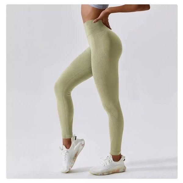 Scrunch Seamless Ribbed Contour Leggings 2.0 - 9 Colorways