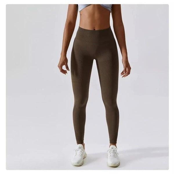 Scrunch Seamless Ribbed Contour Leggings 2.0 - 9 Colorways