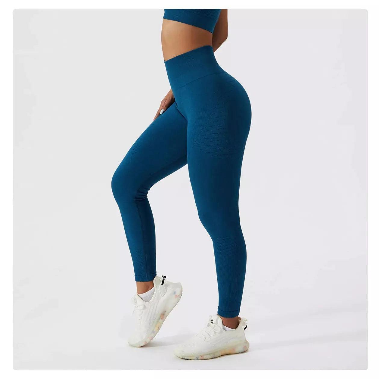 Sculpt Seamless Contour Leggings - 5 Colorways