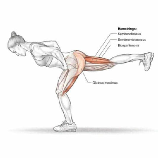 How to Do the Single-Leg RDL Bigger Glutes