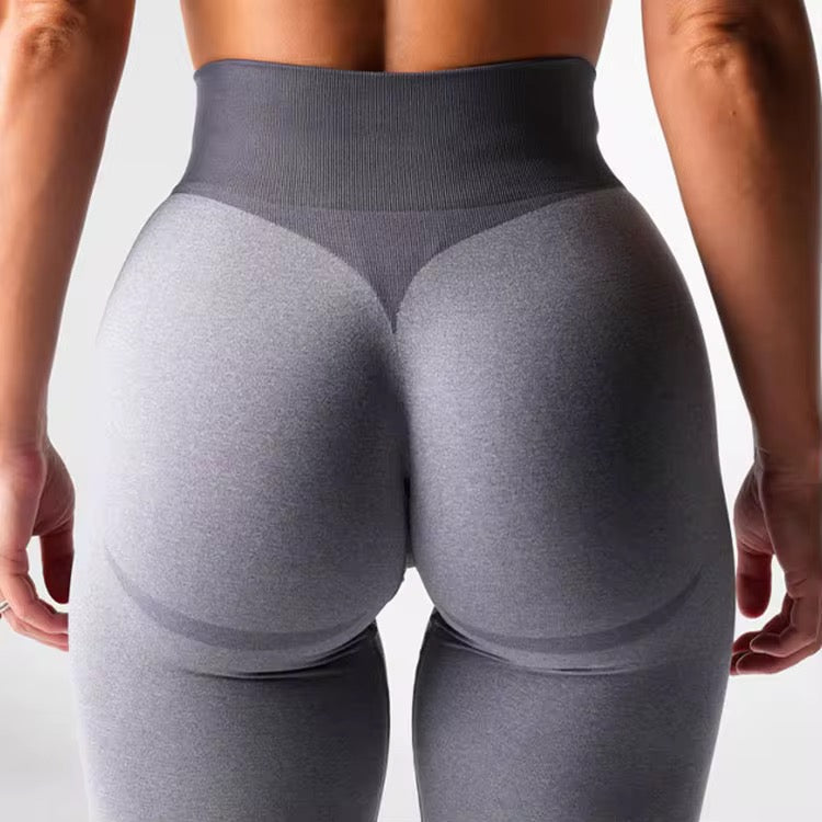 NVGTN Dupes Knockout Seamless Leggings