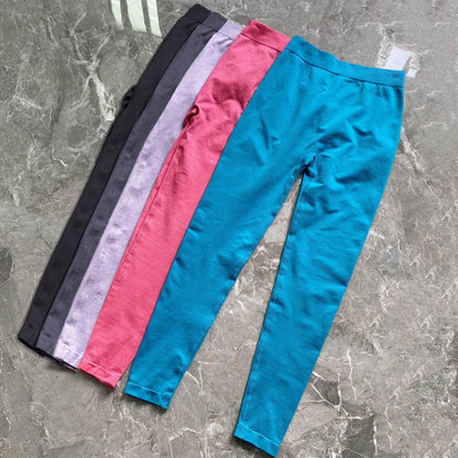 V-BACK SEAMLESS LEGGINGS - 5 Colorways