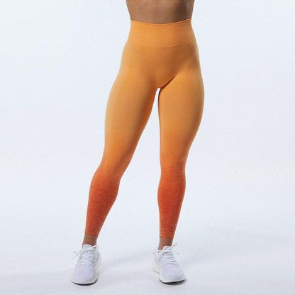 AMPLE OMBRE SEAMLESS LEGGINGS - 5 Colorways