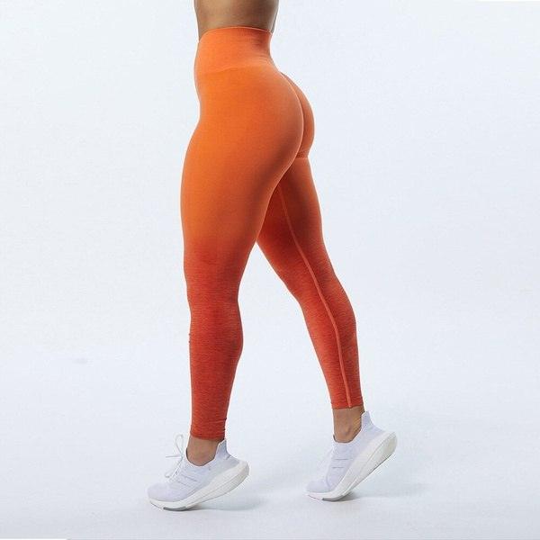 AMPLE OMBRE SEAMLESS LEGGINGS - 5 Colorways