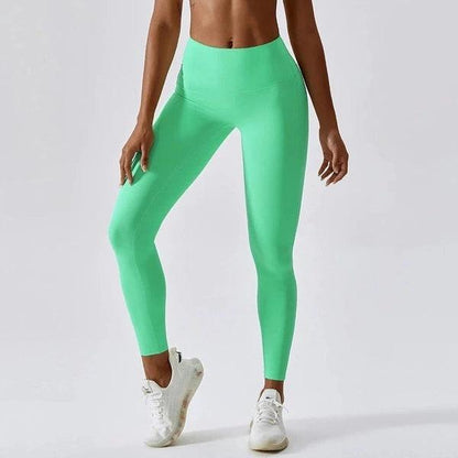 SCULPT SEAMLESS LEGGINGS - 14 Colorways