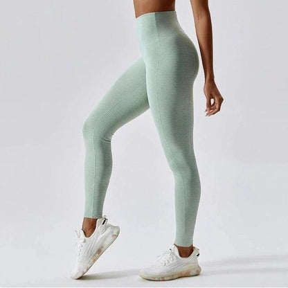 SCULPT SEAMLESS LEGGINGS - 14 Colorways