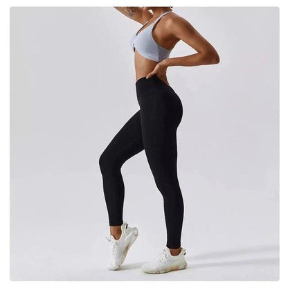 Scrunch Seamless Ribbed Contour Leggings 2.0 - 9 Colorways