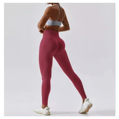 Scrunch Seamless Ribbed Contour Leggings 2.0 - 9 Colorways