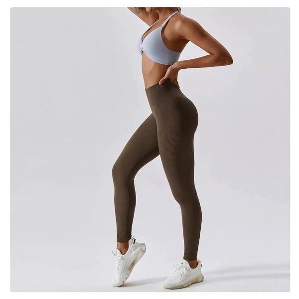Scrunch Seamless Ribbed Contour Leggings 2.0 - 9 Colorways