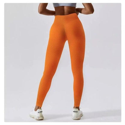 Scrunch Seamless Ribbed Contour Leggings 2.0 - 9 Colorways