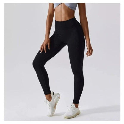Scrunch Seamless Ribbed Contour Leggings 2.0 - 9 Colorways