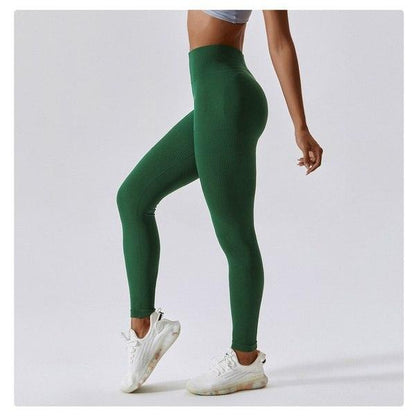 Scrunch Seamless Ribbed Contour Leggings 2.0 - 9 Colorways