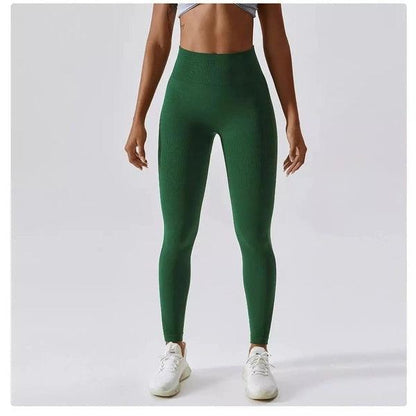 Scrunch Seamless Ribbed Contour Leggings 2.0 - 9 Colorways