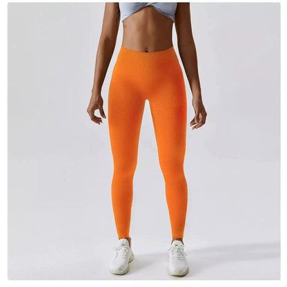 Scrunch Seamless Ribbed Contour Leggings 2.0 - 9 Colorways