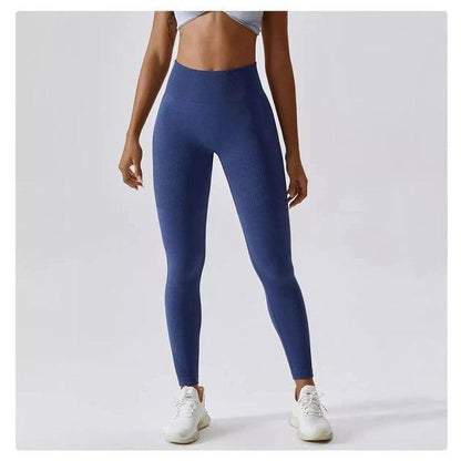 Scrunch Seamless Ribbed Contour Leggings 2.0 - 9 Colorways