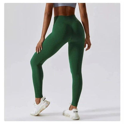 Scrunch Seamless Ribbed Contour Leggings 2.0 - 9 Colorways