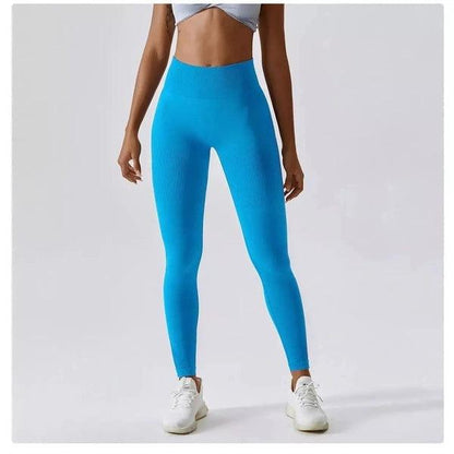 Scrunch Seamless Ribbed Contour Leggings 2.0 - 9 Colorways