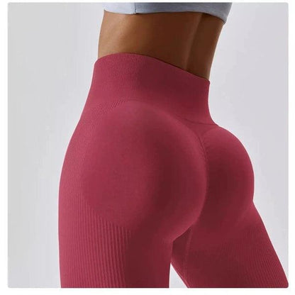 Scrunch Seamless Ribbed Contour Leggings 2.0 - 9 Colorways