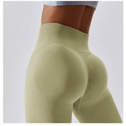 Scrunch Seamless Ribbed Contour Leggings 2.0 - 9 Colorways