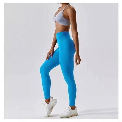 Scrunch Seamless Ribbed Contour Leggings 2.0 - 9 Colorways