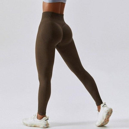 Scrunch Seamless Ribbed Contour Leggings 2.0 - 9 Colorways