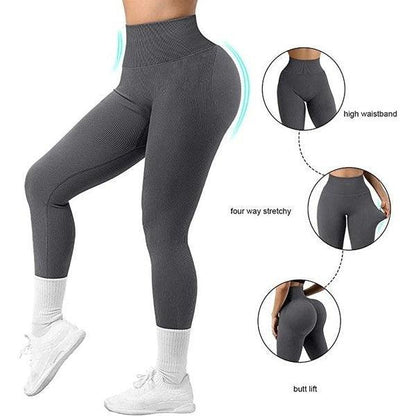 Scrunch Seamless Ribbed Contour Leggings - 5 Colorways