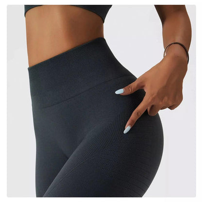 Sculpt Seamless Contour Leggings - 5 Colorways