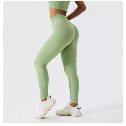 Sculpt Seamless Contour Leggings - 5 Colorways