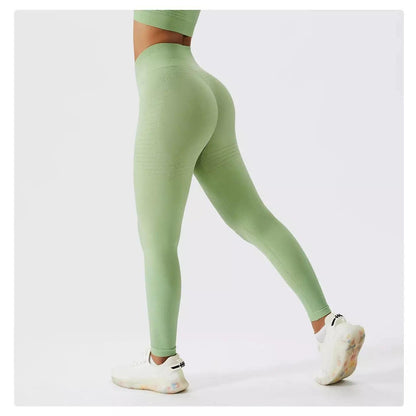 Sculpt Seamless Contour Leggings - 5 Colorways