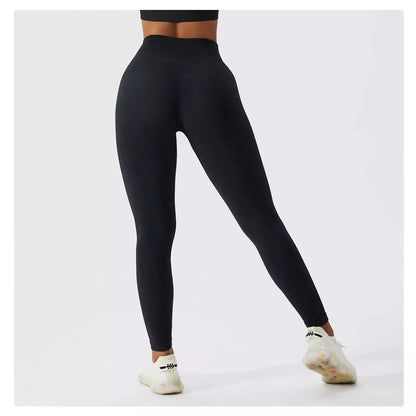 Sculpt Seamless Contour Leggings - 5 Colorways