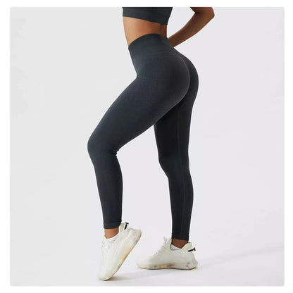 Sculpt Seamless Contour Leggings - 5 Colorways
